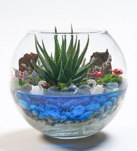TERERYUM HOWARDİA
